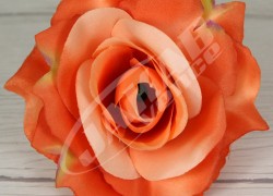 Ruža vencová rozvitá  JX1636-23O