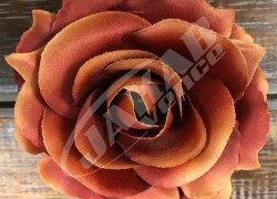 Ruža vencová rozvitá  JX1636-24
