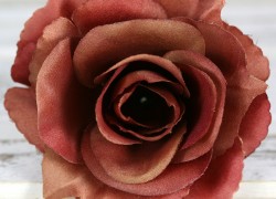 Ruža vencová rozvitá  JX1636-26B