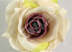 Ruža vencová rozvitá  JX1636-11