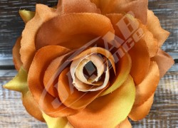 Ruža vencová rozvitá  JX1636-A20