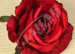 Ruža vencová JX1921-33
