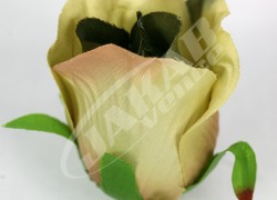 Ruža vencová puk  JX1662-19