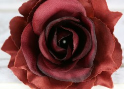 Ruža vencová rozvitá  JX1636-GRL