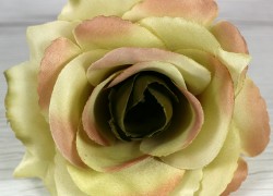 Ruža vencová rozvitá  JX1636-A19