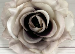 Ruža vencová rozvitá  JX1636-35