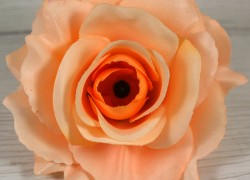 Ruža vencová rozvitá  JX1636-32