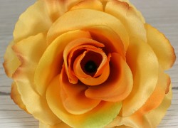 Ruža vencová rozvitá  JX1636-23